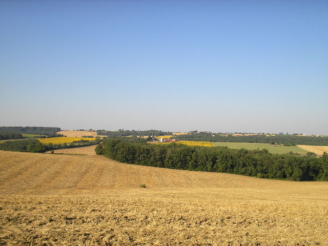 field