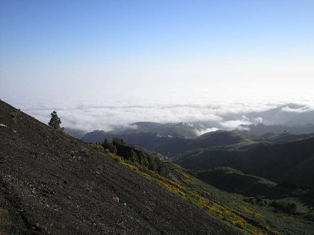 above the clouds