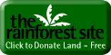 Rainforest site