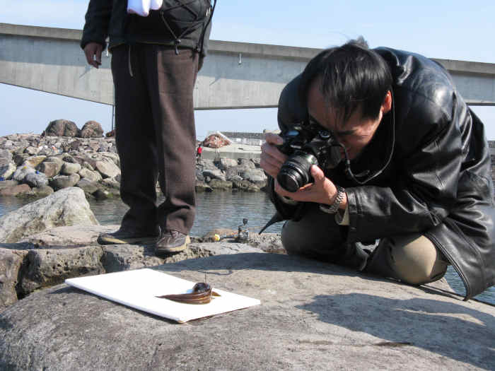 そのサカナ触っちゃダメよ