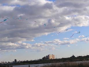 P1060060.JPG