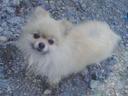 びちゃびちゃマイ