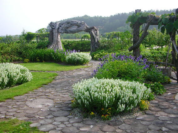 PHOTO047.JPG