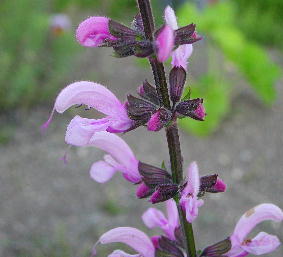 PHOTO089.JPG