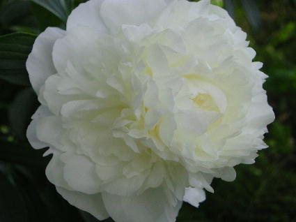PHOTO087.JPG