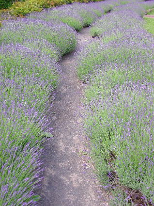 PHOTO047.JPG