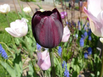 PHOTO197.JPG