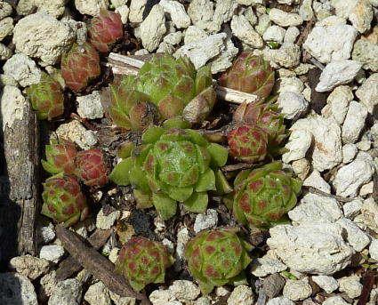 PHOTO102.JPG