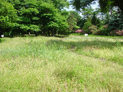 PHOTO042.JPG