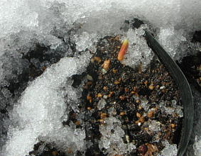 DSCN9768.JPG