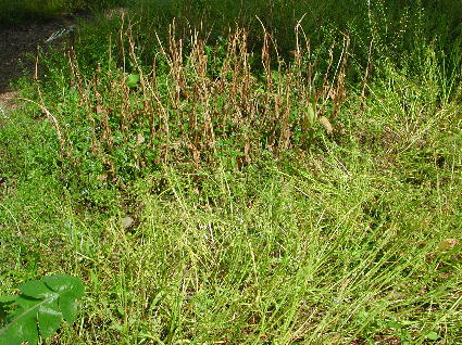PHOTO043.JPG