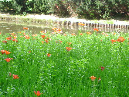 PHOTO045.JPG
