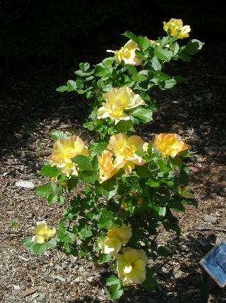 PHOTO032.JPG