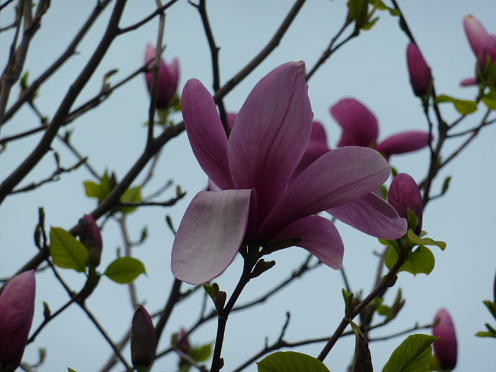 PHOTO048.JPG