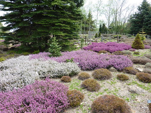 PHOTO061.JPG