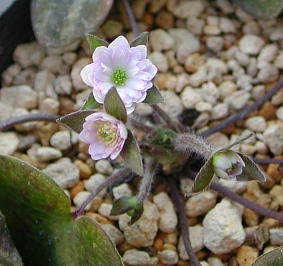 PHOTO083.JPG