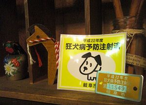 1-CIMG2919.jpg