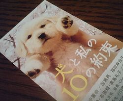 犬と私の10の約束