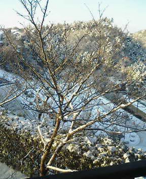 雪