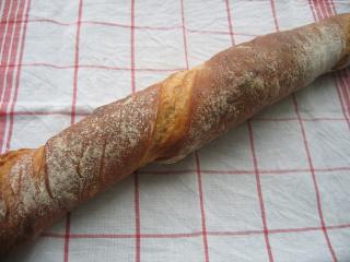 だれかさんの杖