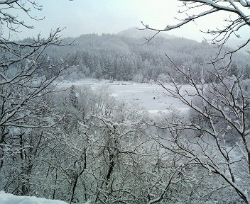 200702110937000.jpg