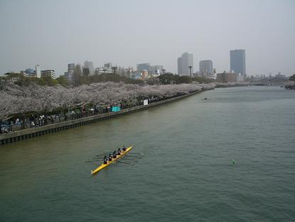 CIMG0629.JPG