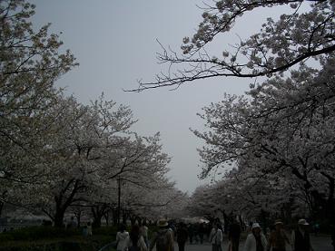 CIMG0646.JPG