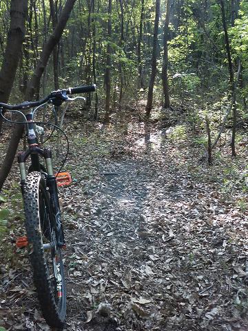 ShortSingleTrack3.JPG