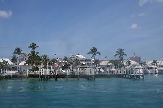 IMG_0979.jpg