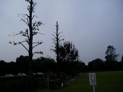 P1012130.JPG