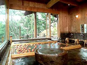 onsen_p1.jpg