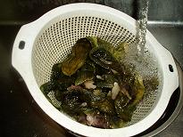 P1010618.JPG