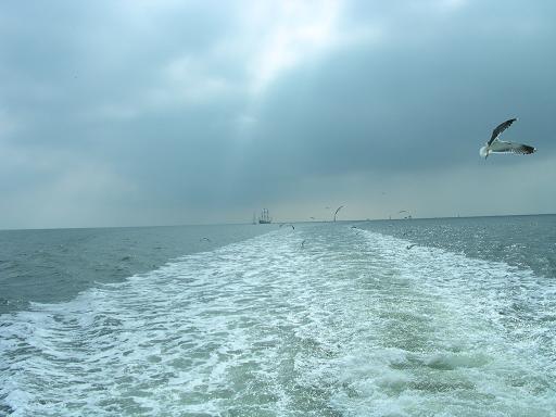 waddenzee