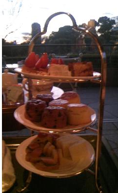 椿山荘　一月二日