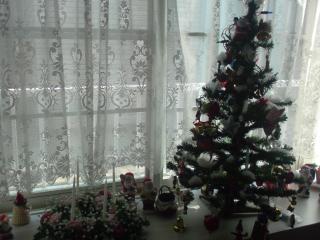 今年のクリスマス～出窓の風景