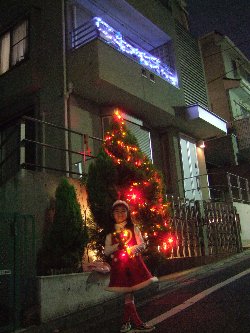 クリスマス - 家のイルミネーション