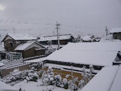愛知の正月 - 大雪です！