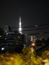 MAMIANA - 窓から東京タワーが見えます☆