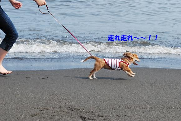 長女と海とレナ