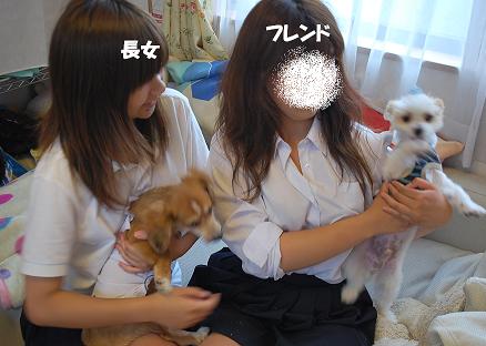 犬好きな人々