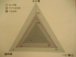 3月３０日の肌チェック結果