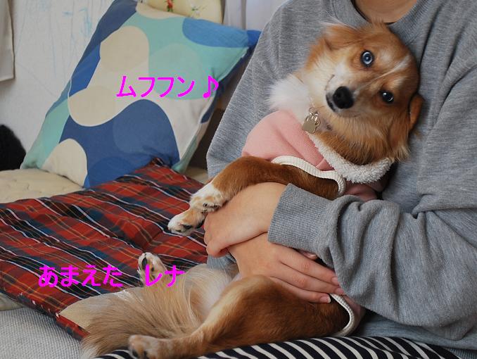 あまえたな犬　レナ