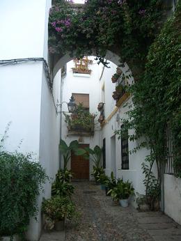 スペイン2006ポルトガル ミハスの白い小道.JPG