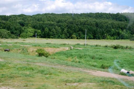 釧路から厚岸へ