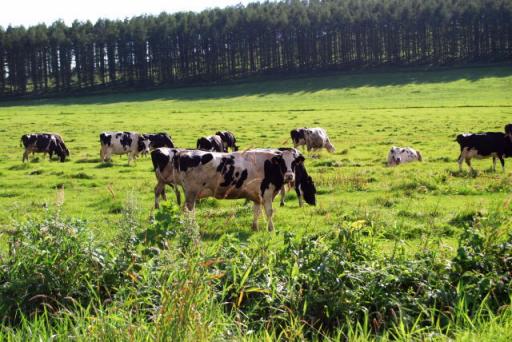 裏摩周から阿寒湖への道