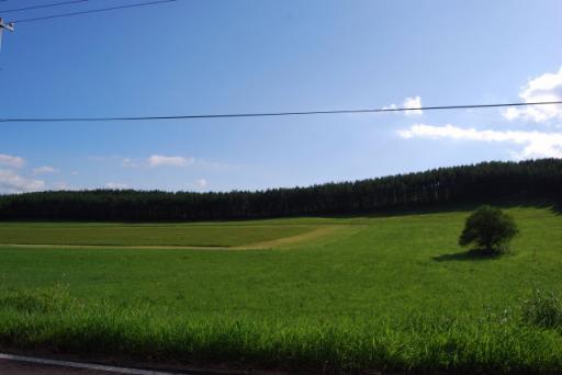 裏摩周から阿寒湖への道