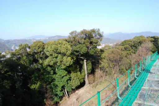 リフトからの風景