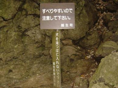 犬を滝つぼに入れないでください