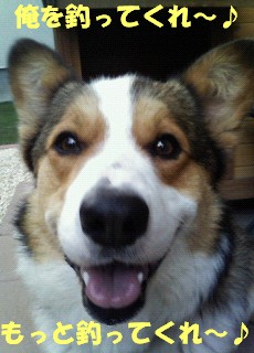 俺を釣ってくれ♪