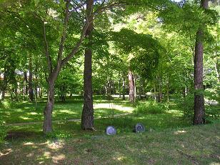 新緑（ブレストンコート）